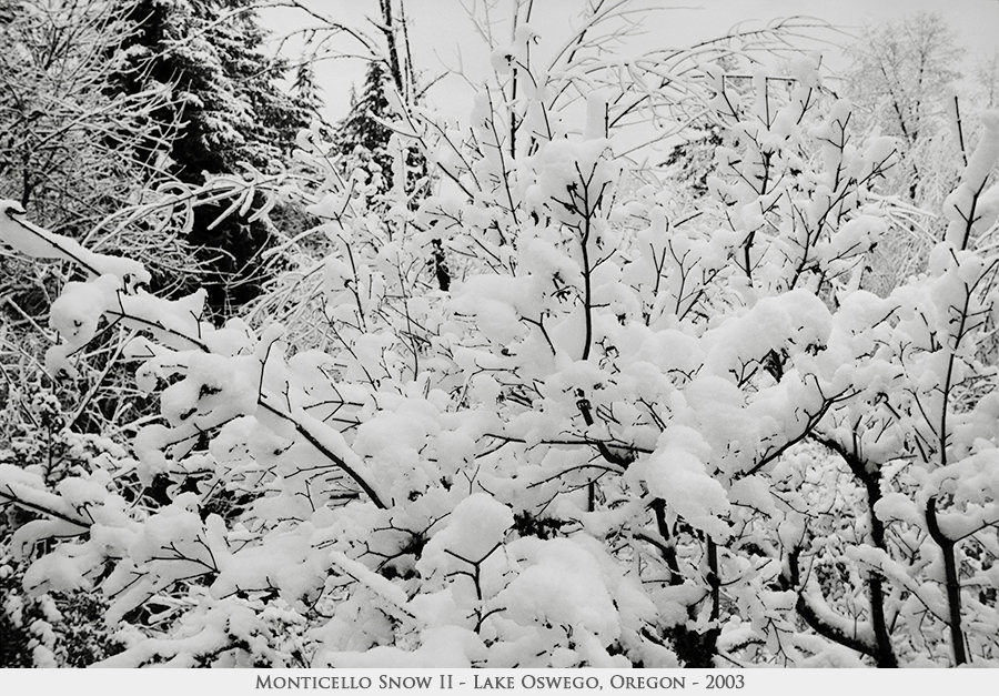 Monticello Snow II