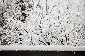Monticello Snow V