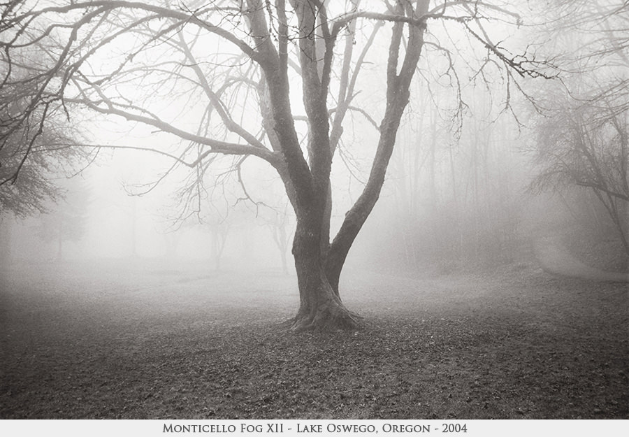 Monticello Fog XII