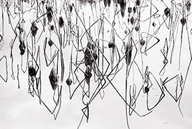 lotus stems 4