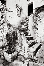 Stairway & Planters