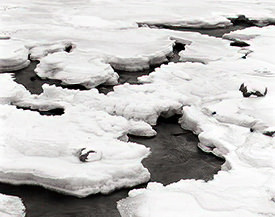 Payette River ice & snow 1