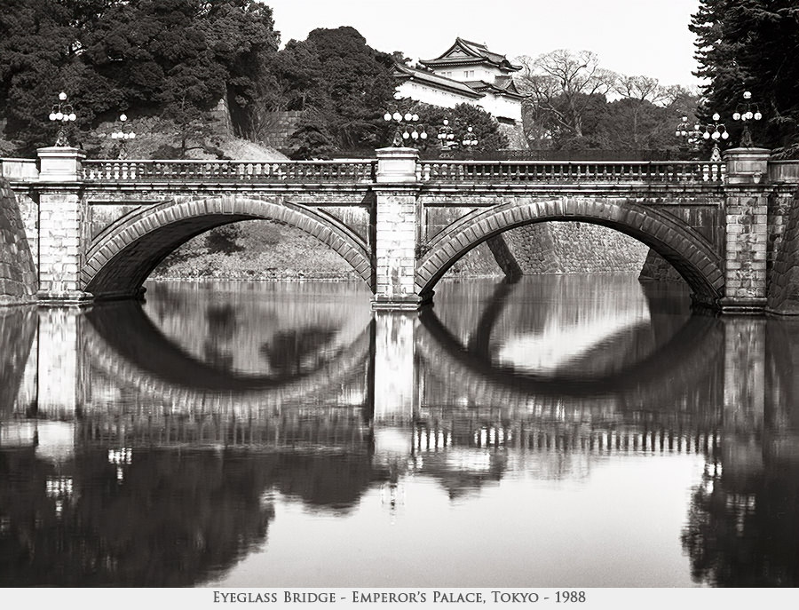 eyeglass bridge