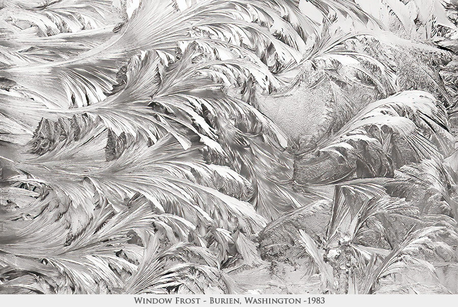 window frost 2