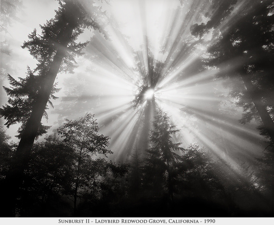 sunburst 2